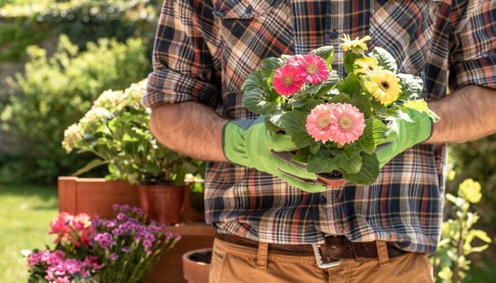 gardener-4186301_1280 gardener-4186301_1280